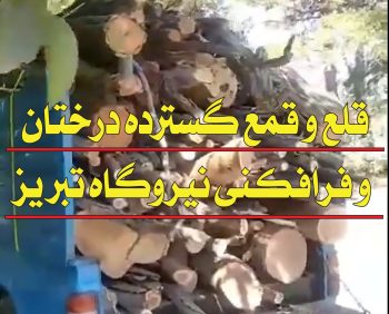 💢 قلع و قمع گسترده درختان نیروگاه تبریز